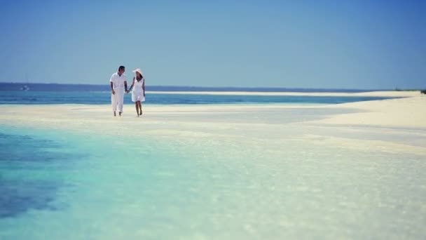 Couple attrayant en vacances de rêve — Video
