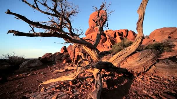 Balanced Rock Formado pela Natureza — Vídeo de Stock