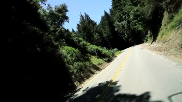 Conducir desde el punto de vista de las carreteras en el Parque Nacional — Vídeos de Stock