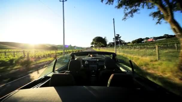 Fahrt durch die Landschaft des Napa-Tals bei Sonnenuntergang — Stockvideo