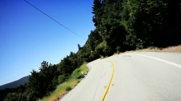 Bodu z pohledu jízdy přes národní park — Stock video