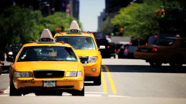 Yellow Cabs & City Traffic New York City, USA — Stock Video