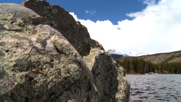 Vinter snö landskap i en nationalpark — Stockvideo