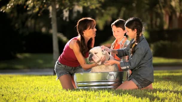 Junge Mutter & Kinder baden Familie Bulldogge — Stockvideo