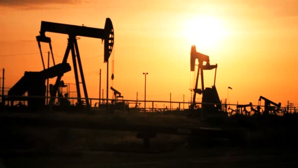 Γαϊδούρια πετρελαίου ή αντλία υποδοχές στην αέναη κίνηση στο ηλιοβασίλεμα — Αρχείο Βίντεο