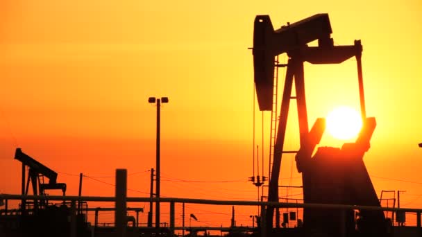 Oil donkeys or pump jacks in perpetual motion at sunset — Stock Video