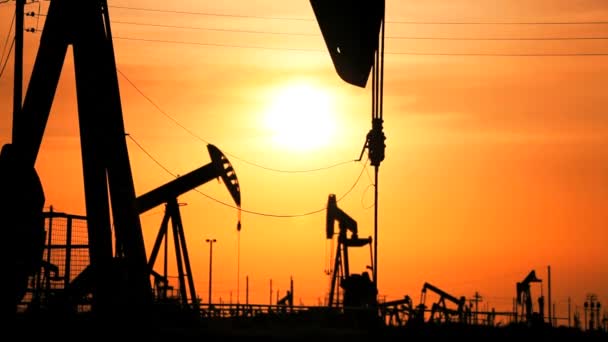 Oil donkeys or pump jacks in perpetual motion at sunset — Stock Video