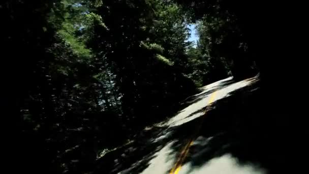 Conducir desde el punto de vista de las carreteras en el Parque Nacional — Vídeo de stock