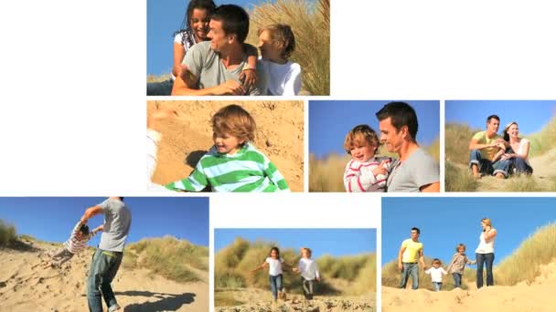 Montage of Families Lifestyle Together by the Coast — Stock Video