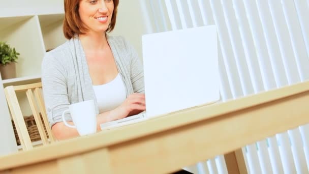 Mulher bonita em casa usando laptop — Vídeo de Stock