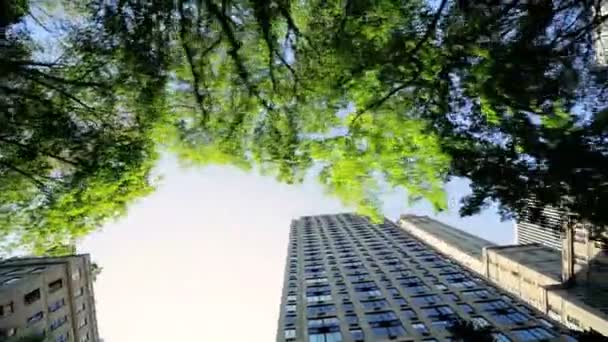 コンクリート、スチール & ガラスの高層ビル建物 — ストック動画