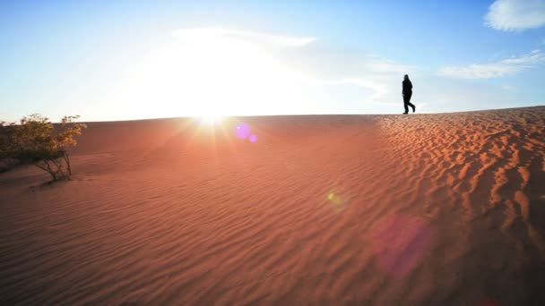 Samotna kobieta w sylwetka turystyka przez wydmy idealna Oglądanie zachodu słońca — Wideo stockowe