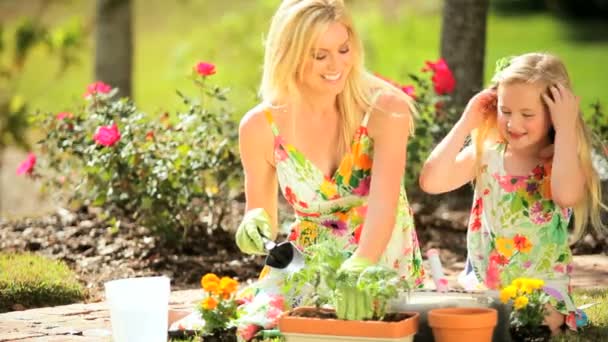 Mother & Daughter Potting Plants — Stock Video