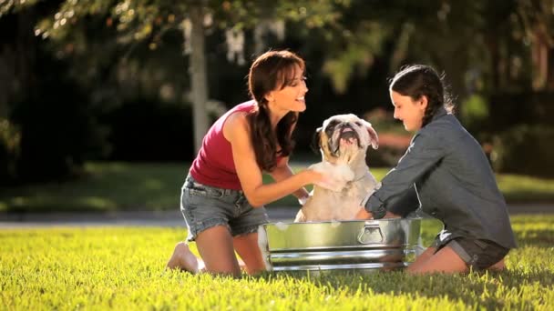 Mladá matka & dcera koupání rodiny Bulldog — Stock video