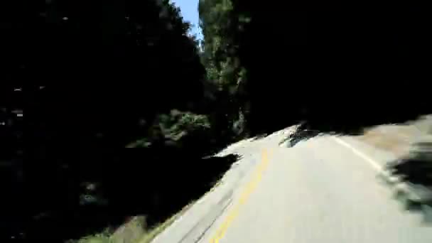 Time-lapse P.O.V. Foresta di sequoie — Video Stock