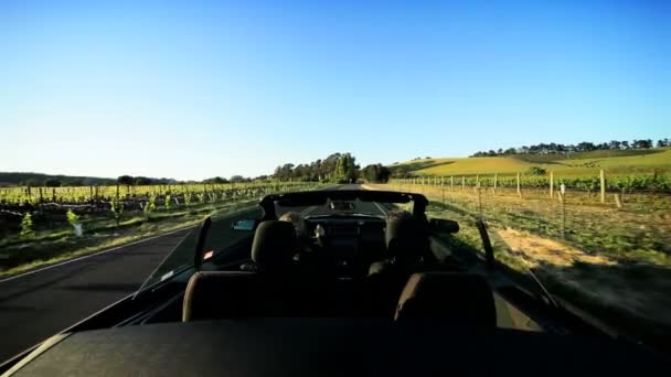 Recorriendo los viñedos del Valle de Napa — Vídeo de stock