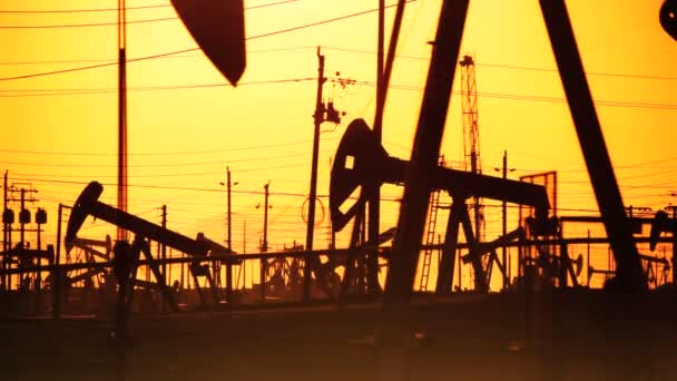 Oil donkeys or pump jacks in perpetual motion at sunset — Stock Video