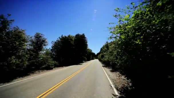 P.O.V. Driving the Roads Through a National Park — Stock Video