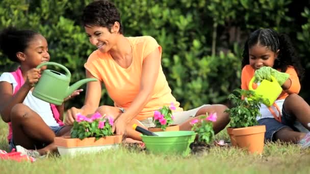 Little African American Girls Gardening with Mom — Stock Video