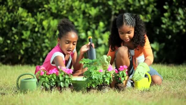 Små afrikanska amerikanska flickor trädgårdsskötsel — Stockvideo