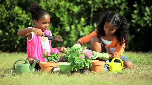 Söta unga afrikanska amerikanska flickor trädgårdsskötsel — Stockvideo