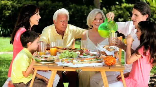 Tre generazioni condividendo pranzo sano — Video Stock