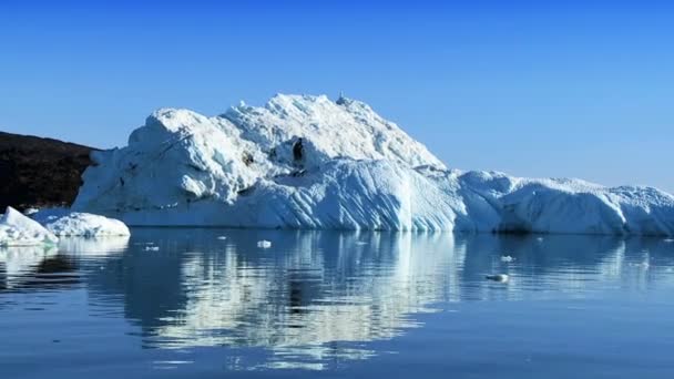 Icebergs del pasado a la deriva rotos de glaciares — Vídeos de Stock
