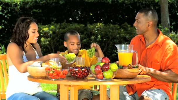 Familia afroamericana Comer sano al aire libre — Vídeos de Stock