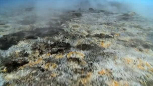 Paysage stérile des sources volcaniques chaudes — Video