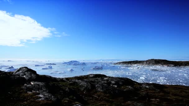 Pannen over de Arctische baai met ice floes smelten — Stockvideo