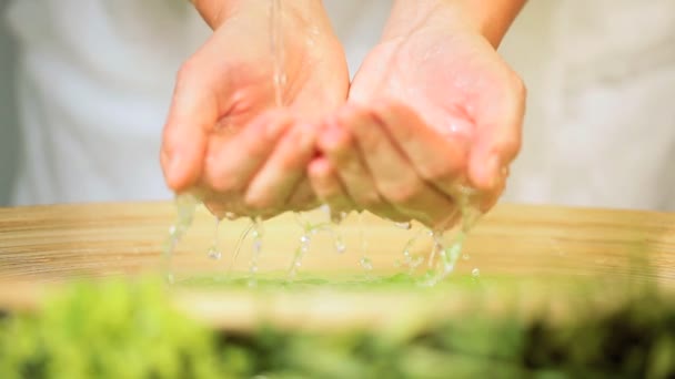 Ruce v čištění vody — Stock video