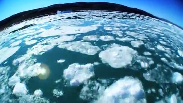 Período de tempo de ângulo largo do gelo congelado do mar — Vídeo de Stock