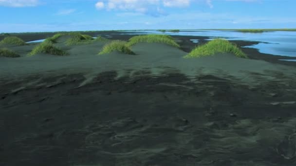 Αεροφωτογραφία του εύφορη ανάπτυξη από ηφαιστειακή τέφρα, Ισλανδία — Αρχείο Βίντεο