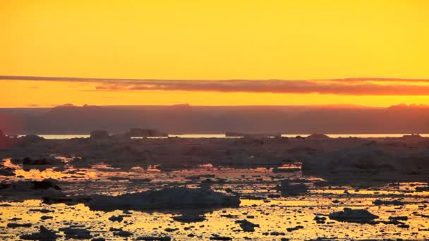 Goldener Sonnenuntergang über schmelzenden Eisschollen — Stockvideo