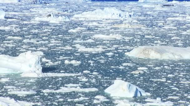 氷山と流氷女性の祝う遠征の成功 — ストック動画