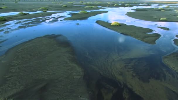 Luftaufnahme des fruchtbaren Wachstums im vulkanischen Schmelzwasser, Island — Stockvideo