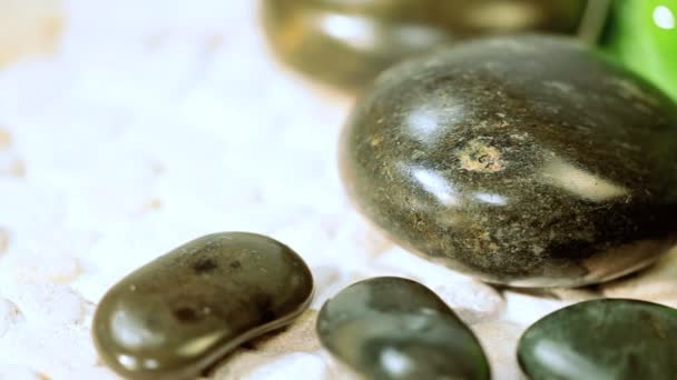 Símbolos de Terapia Spa de Piedras y Hojas — Vídeos de Stock