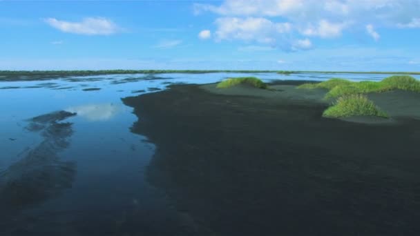 Luftaufnahme des fruchtbaren Wachstums im vulkanischen Schmelzwasser, Island — Stockvideo