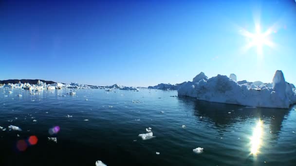 Isberg bryts från glaciärerna drivande i ett arktiskt hav — Stockvideo