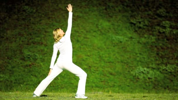 Female Yoga Exercises Outdoors — Stock Video