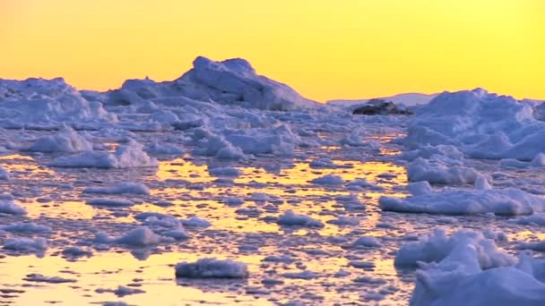 Buzlar ve buzdağları arasında pan — Stok video