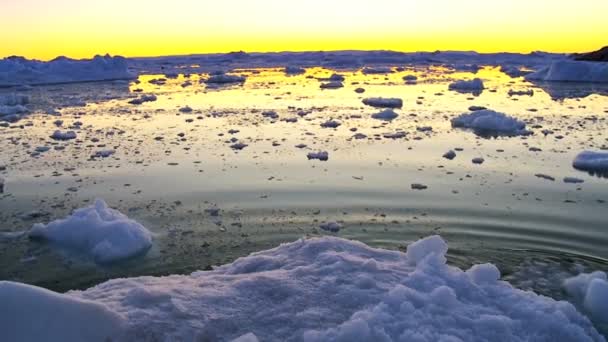 Bewegende ice floes bij zonsondergang — Stockvideo