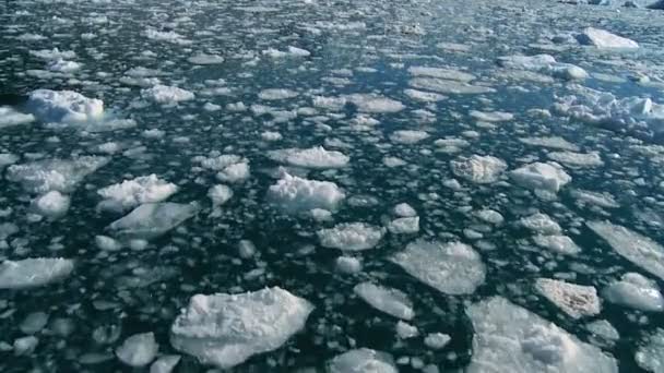 Smält glaciala is i Rörligt vatten — Stockvideo