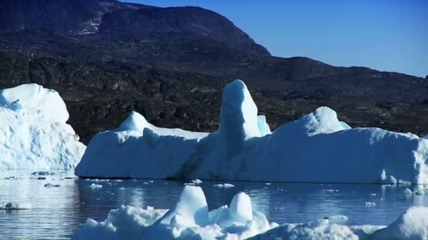 Große schwimmende Eisberge, die von einem Gletscher gebrochen wurden — Stockvideo