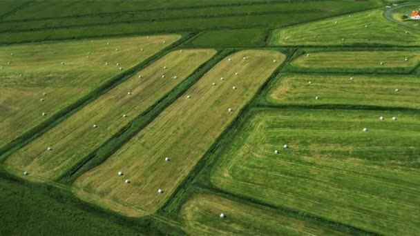 Vista aérea da terra agrícola fértil, Islândia — Vídeo de Stock