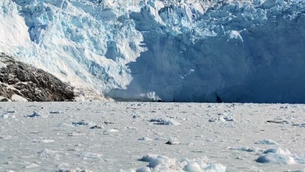 Glacial Calving in the Arctic — Stock Video