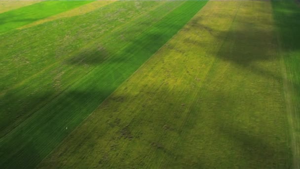 A légi felvétel a gazdag mezőgazdasági síkság, Izland — Stock videók