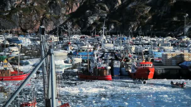 Fiskehamn i polar arktiska regionen — Stockvideo