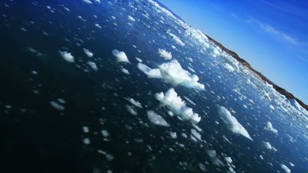 Fonte des floes de glace arctique — Video