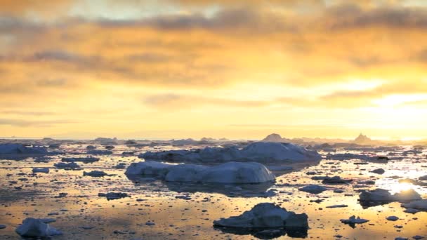 Ice floes smelten bij zonsondergang — Stockvideo